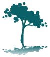arbre seul